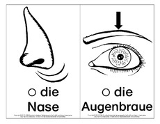 Bild-Wort-Karten-Körperteile 3.pdf